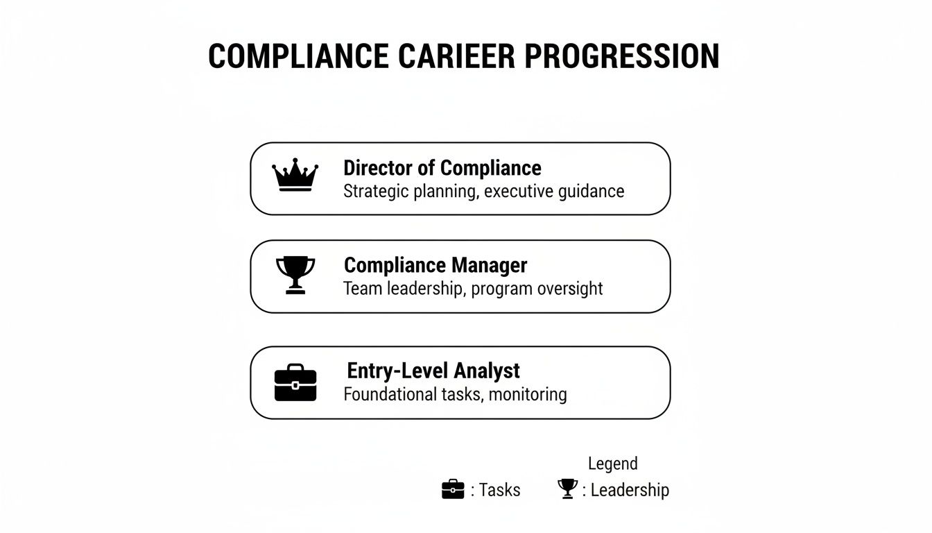 Compliance career progression chart showing roles from Entry-Level Analyst to Director, with responsibilities.