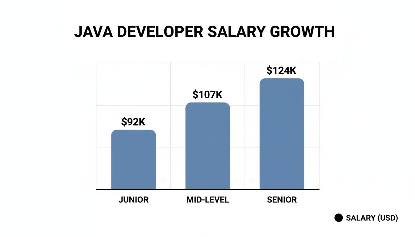 Bar chart illustrating Java developer salary growth by experience level: Junior, Mid-Level, and Senior.