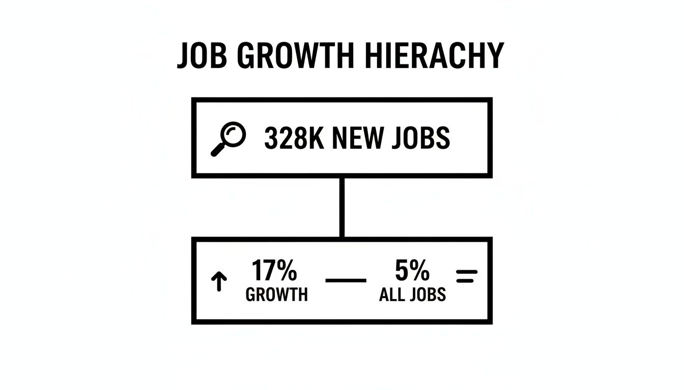 Infographic showing job growth hierarchy with 328K new jobs, 17% growth, and 5% of all jobs.