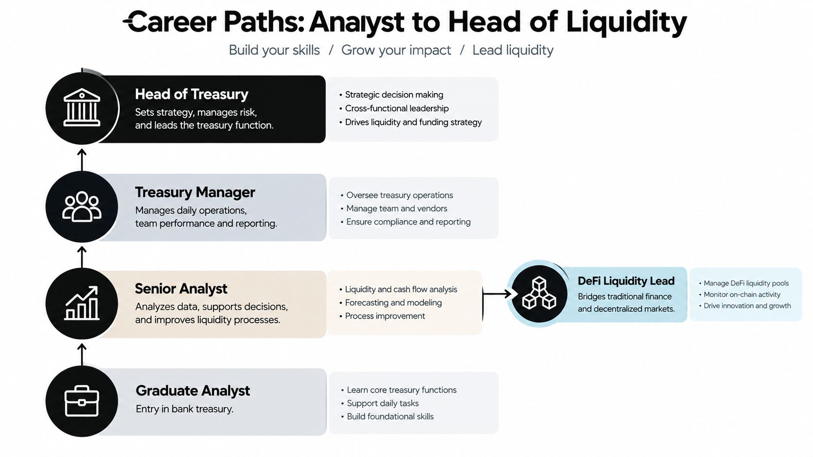 A career path diagram illustrating the progression from Graduate Analyst to Head of Treasury with a specialization branch for DeFi Liquidity Lead.