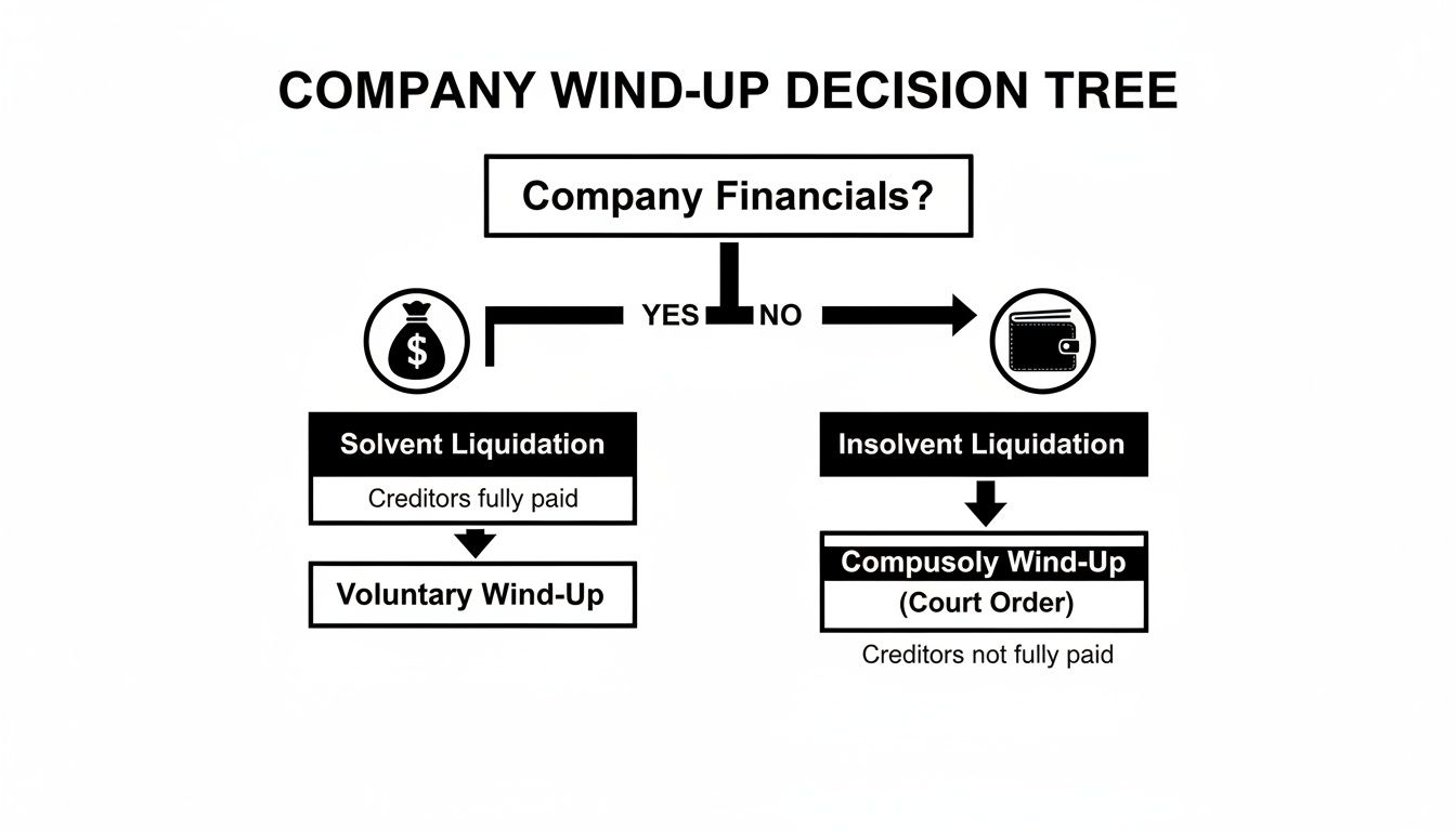 Flowchart showing company wind-up decisions based on financial solvency, leading to voluntary or compulsory liquidation.