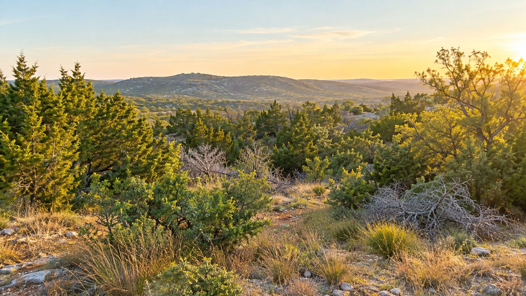 A scenic view of a hilly Texas landscape during sunset with lush trees and rocky terrain.