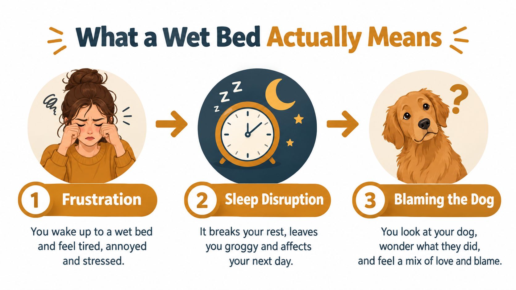 A visual infographic showing three stages of dealing with a wet bed: frustration, sleep disruption, and blaming the dog.