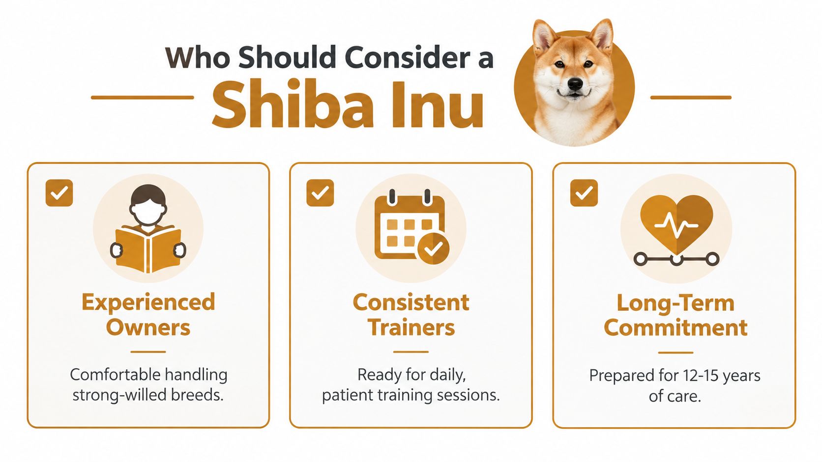 An infographic outlining three key requirements for potential Shiba Inu dog owners, including experience, training, and commitment.
