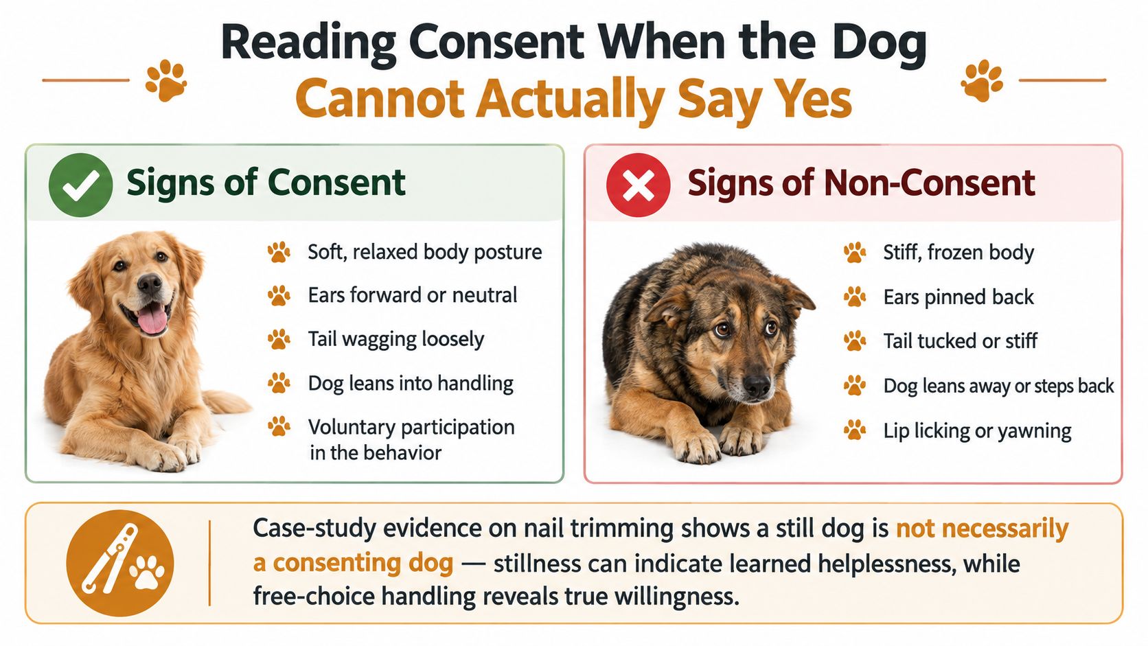 An infographic showing signs of canine consent and non-consent, with photos of dogs and educational text.