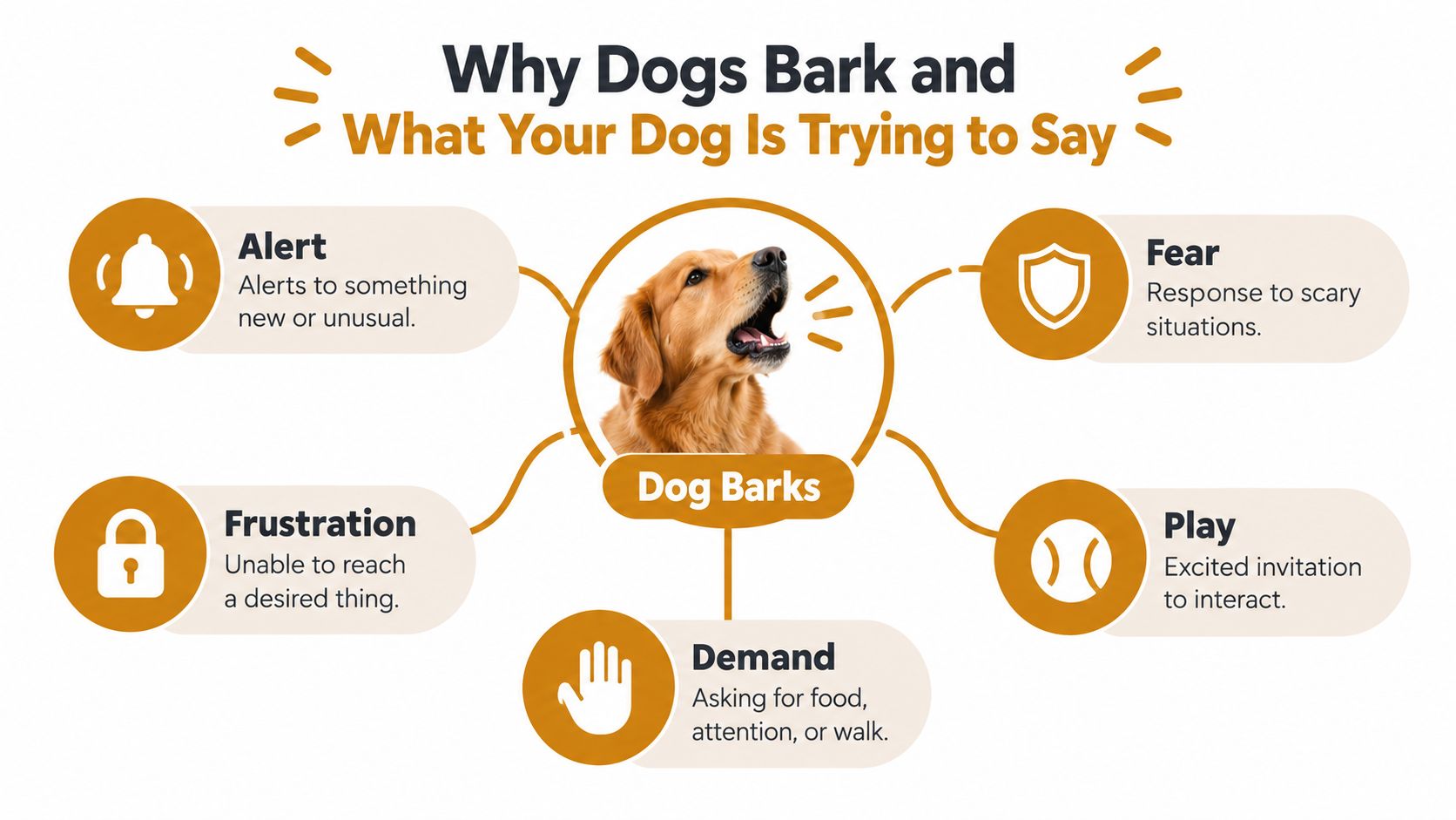 A diagram explaining various reasons why dogs bark, including alert, fear, frustration, demand, and play.