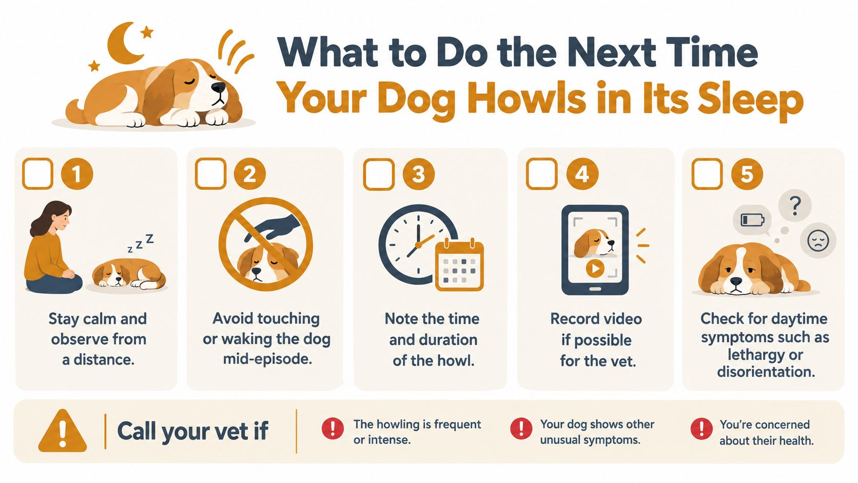 An infographic titled What to Do the Next Time Your Dog Howls in Its Sleep with five steps.