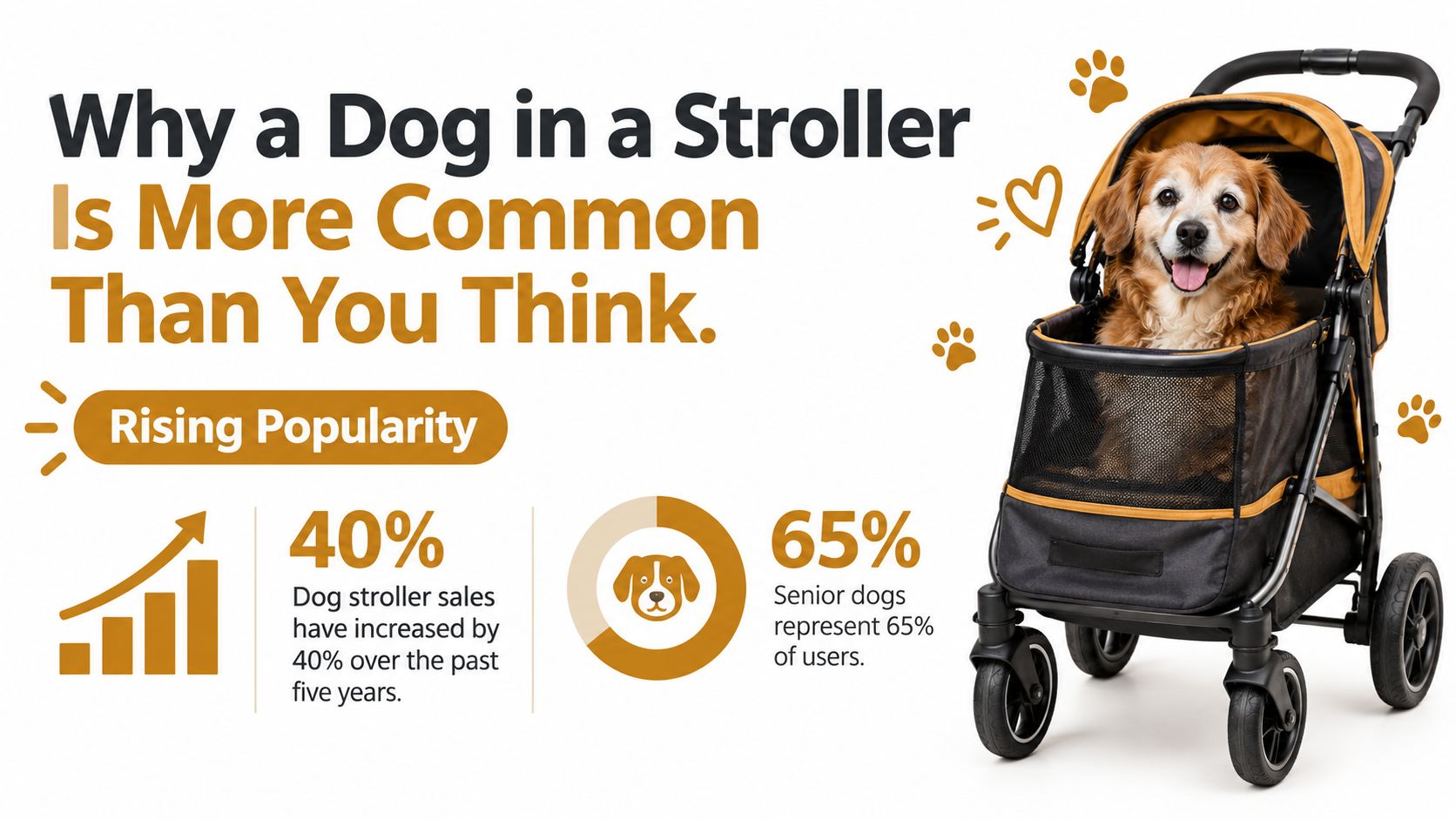 An infographic showing that dog stroller usage is increasing, with statistics about sales growth and senior dog owners.