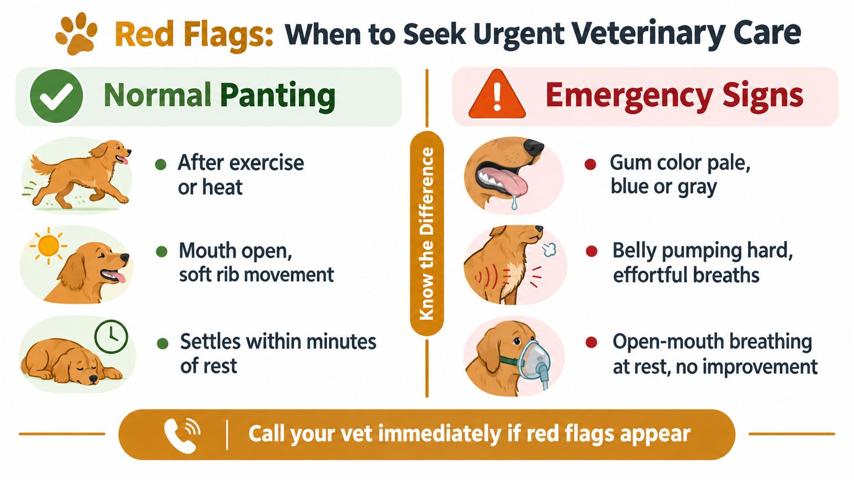 An infographic distinguishing between normal dog panting and emergency respiratory signs that require immediate veterinary care.