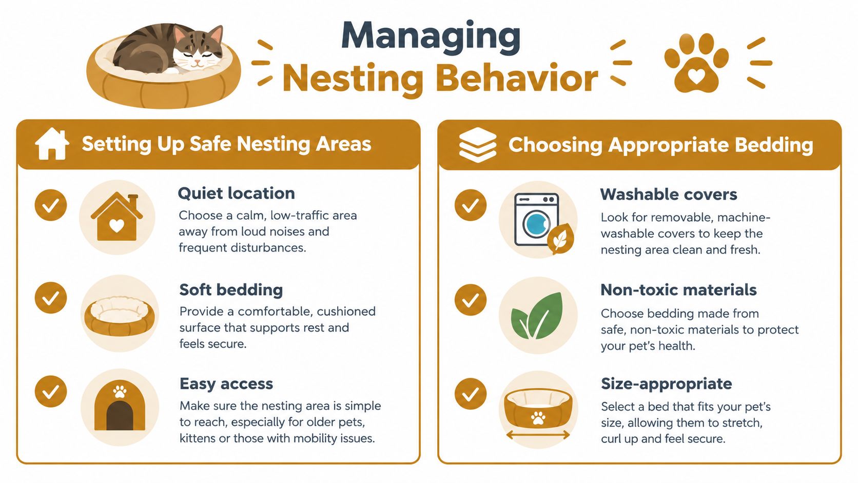 A helpful infographic illustrating key tips for managing pet nesting behavior, including safe area setup and bedding selection.