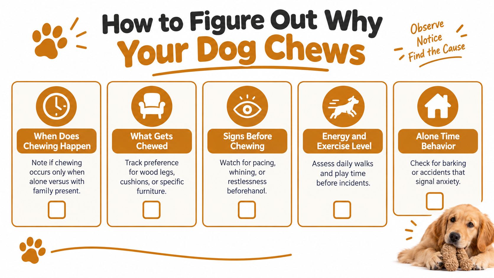 An infographic showing five tips to identify the reasons behind a dog's destructive chewing habits.