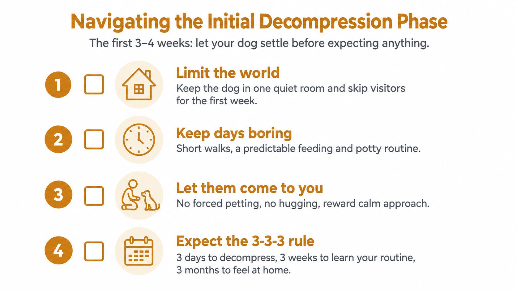 A four-step guide for pet owners on navigating the initial decompression phase for a new rescue dog.
