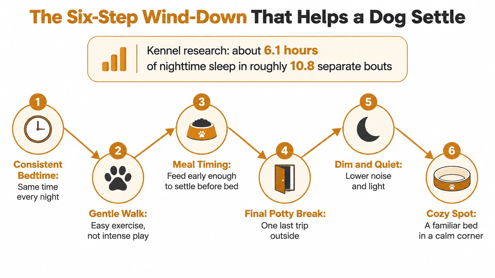 An infographic detailing a six-step wind-down routine to help your dog settle for a good night's sleep.