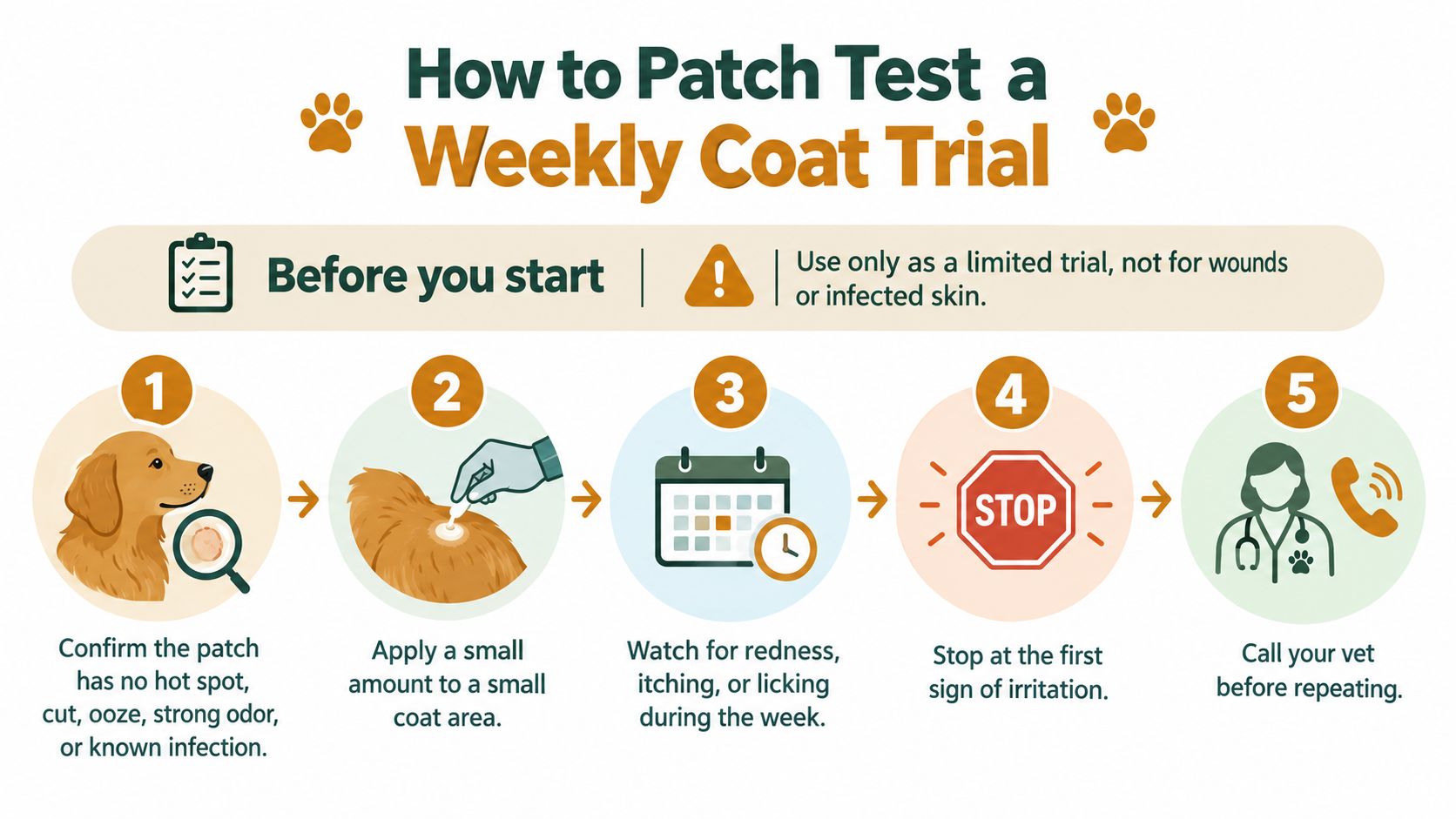 An infographic showing a five-step guide on how to patch test skincare products on a dog's coat.