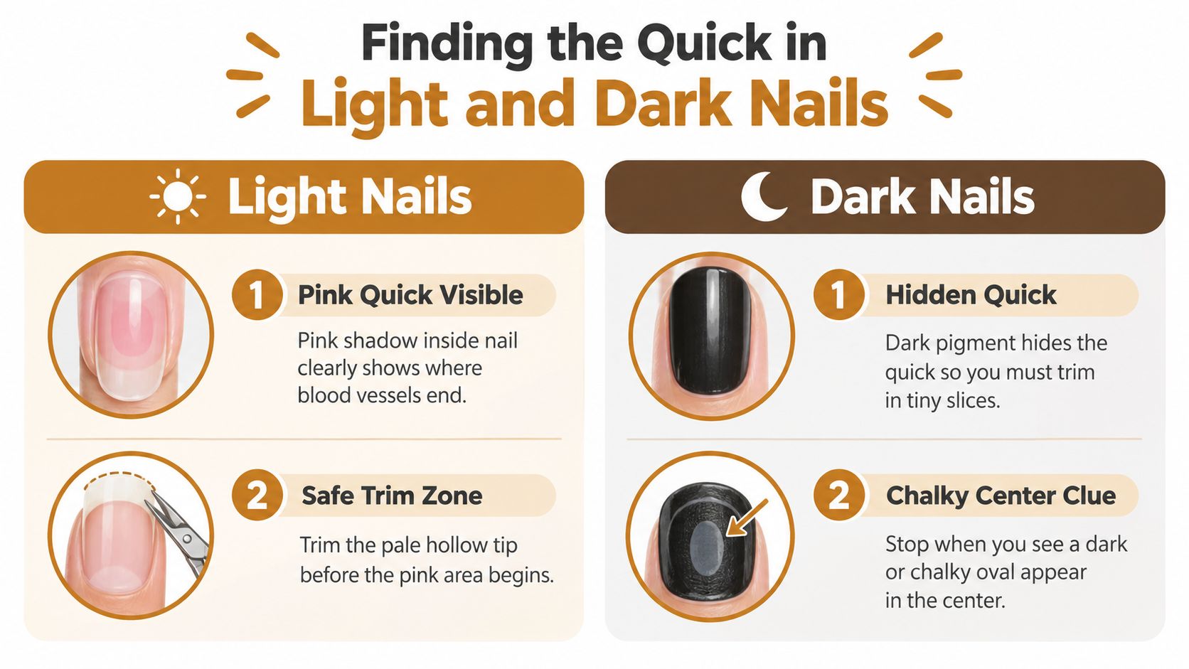 A visual guide illustrating how to safely locate the quick when trimming light and dark dog nails.