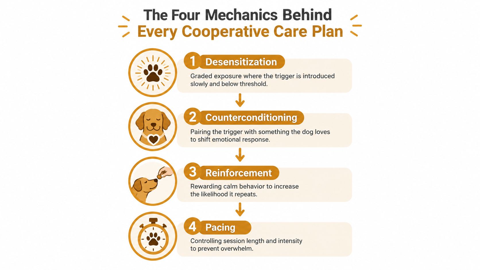 An infographic detailing the four key mechanics for successful cooperative care training for dogs: desensitization, counterconditioning, reinforcement, and pacing.