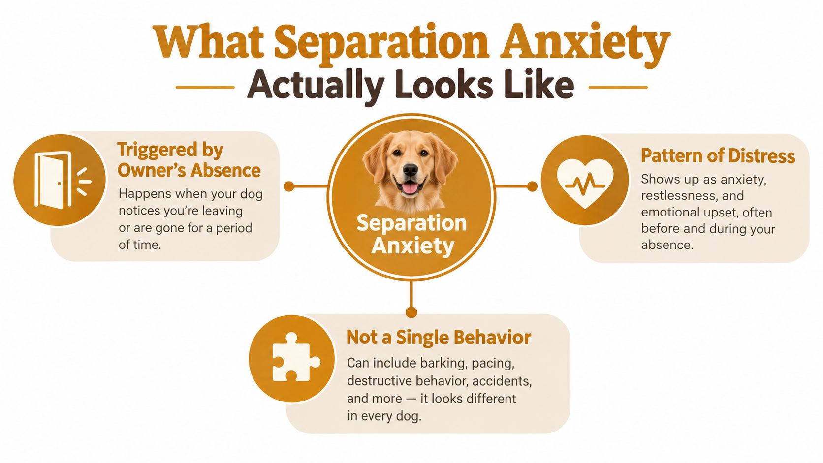 An infographic showing that dog separation anxiety involves owner absence, specific distress patterns, and varied behavioral signs.