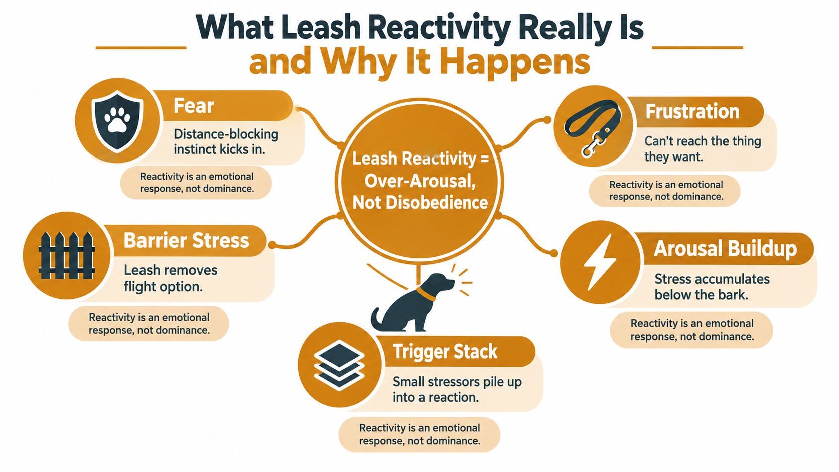 A diagram explaining that leash reactivity in dogs is an emotional response rather than disobedience.
