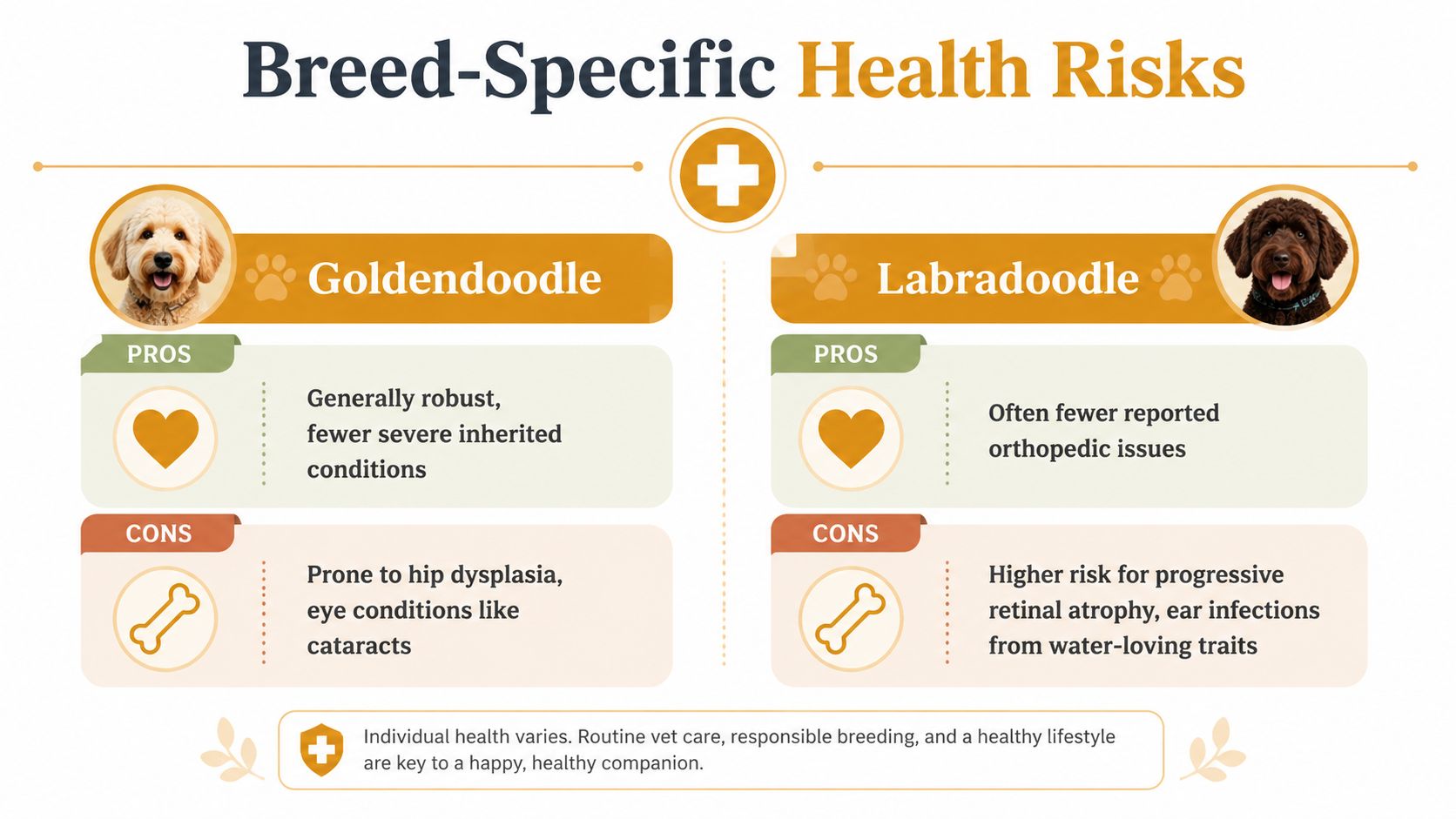 A comparison infographic detailing the breed-specific health risks, pros, and cons of Goldendoodles versus Labradoodles.