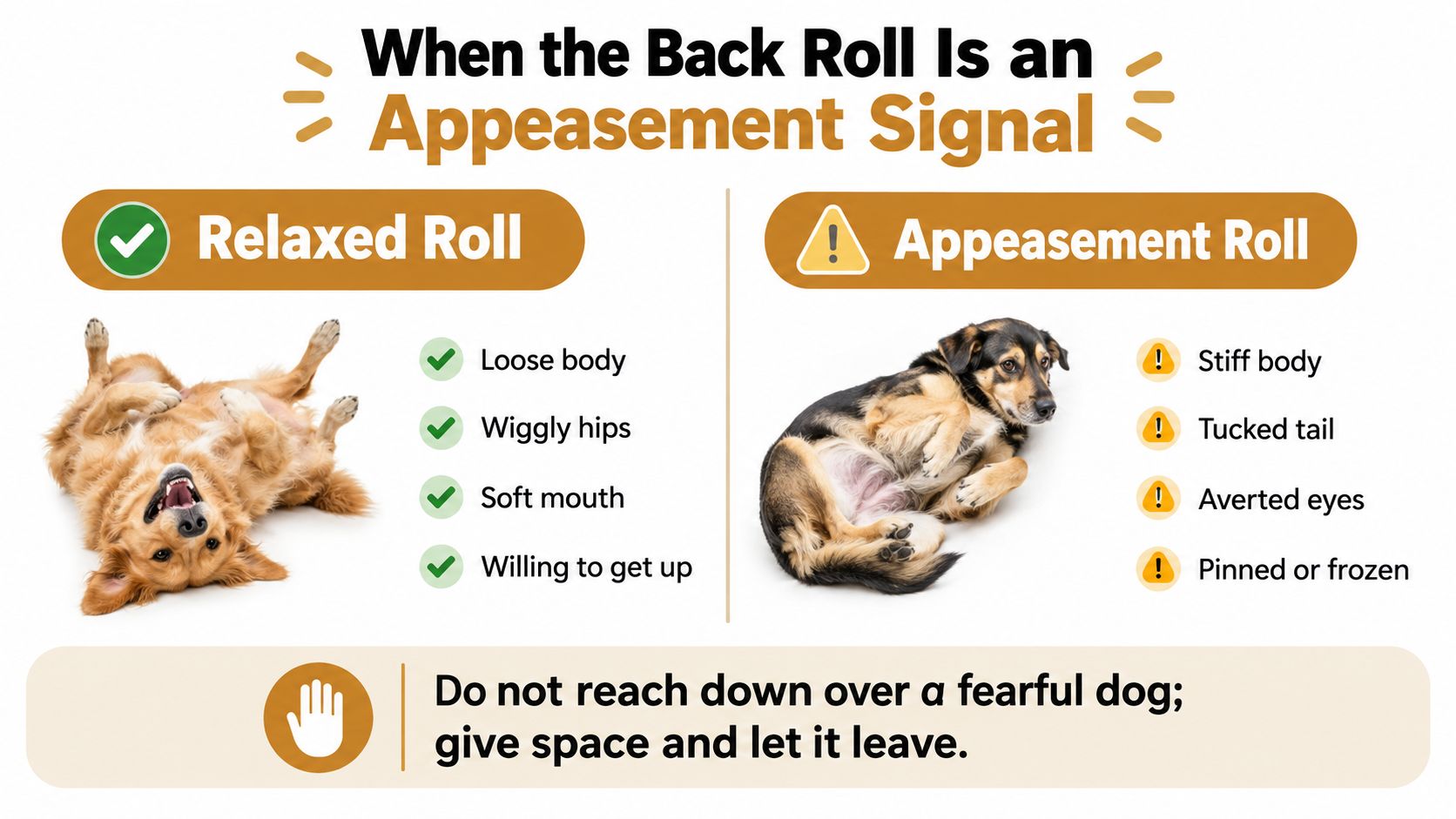 An infographic showing the difference between a happy relaxed dog roll and a fearful appeasement dog roll.