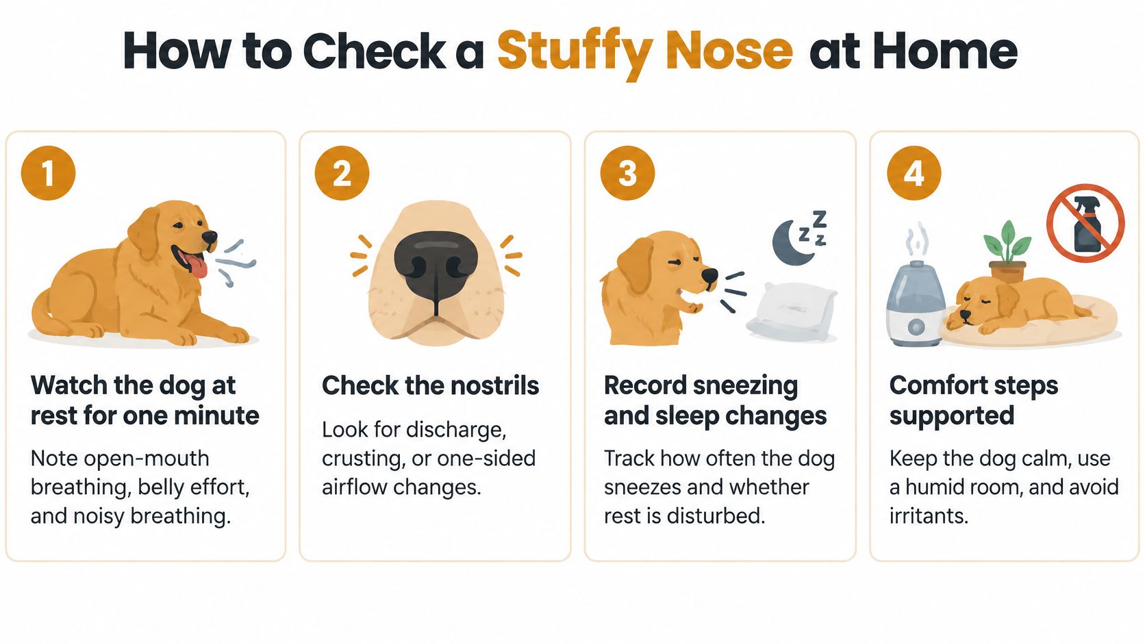 An infographic titled How to Check a Stuffy Nose at Home providing four simple steps for pet owners.