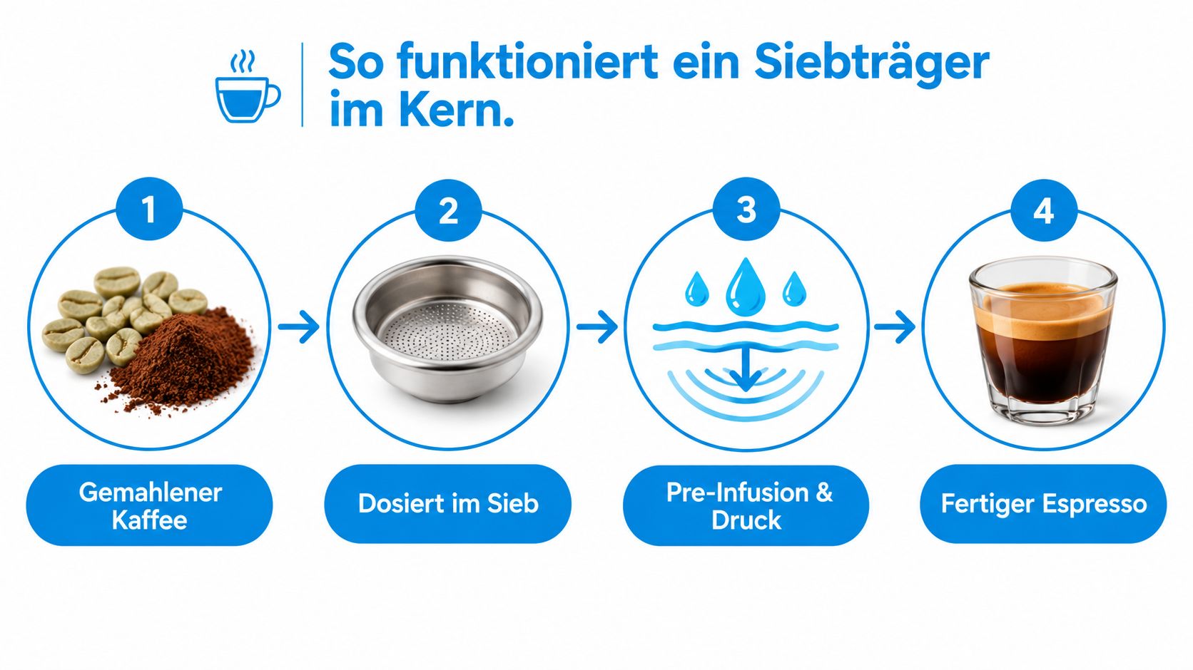 Eine Infografik zeigt den Prozess von Kaffeebohnen bis hin zum fertigen Espresso in einer Siebträgermaschine.
