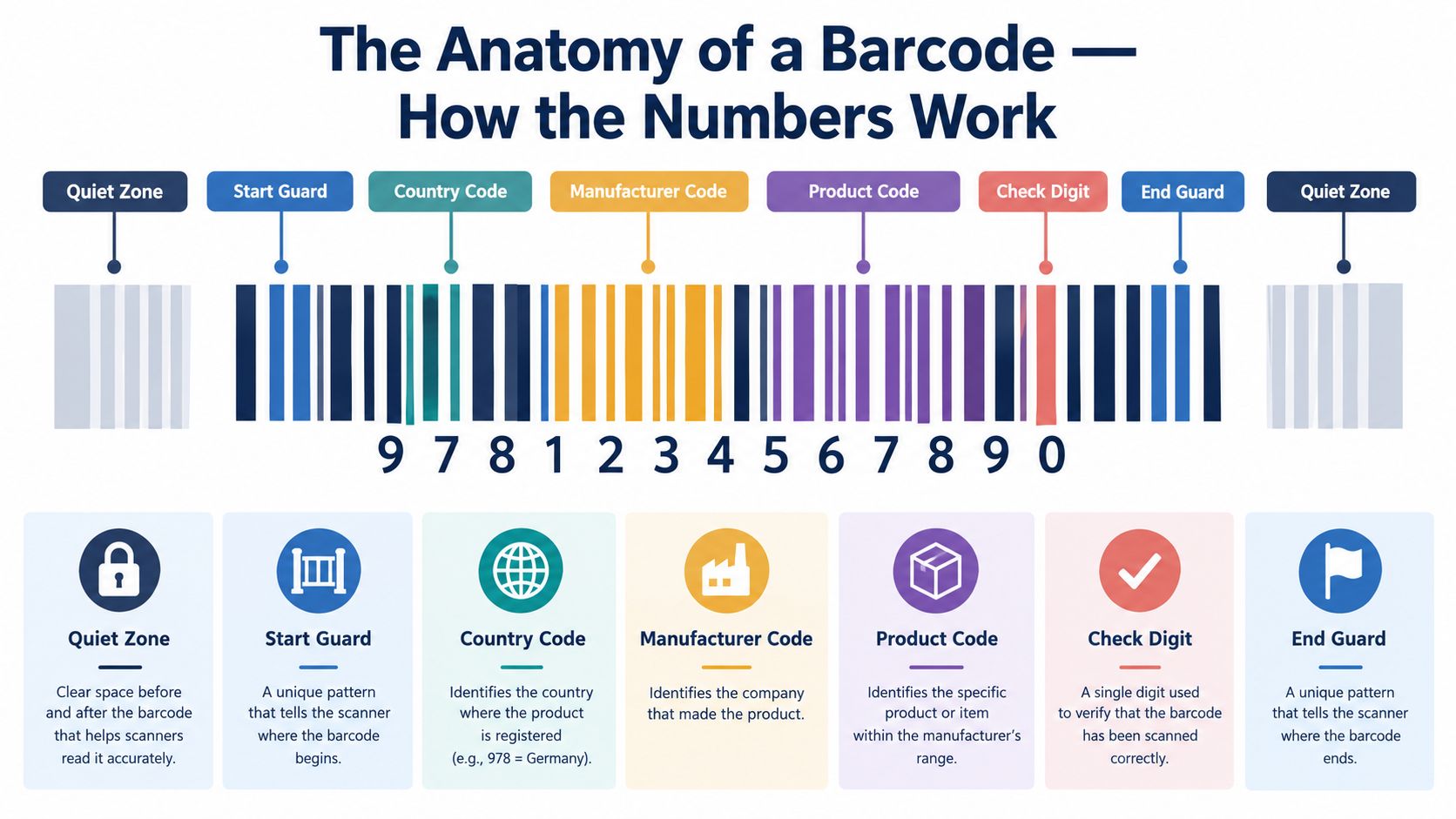 A detailed infographic explaining the anatomical parts and function of a barcode with labeled sections.