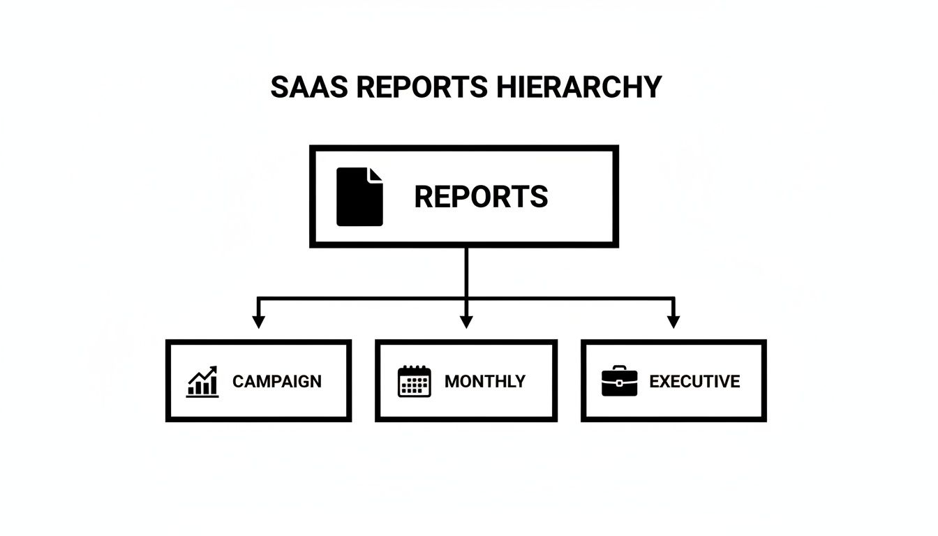 A SAAS reports hierarchy diagram showing categories: Reports, Campaign, Monthly, and Executive.