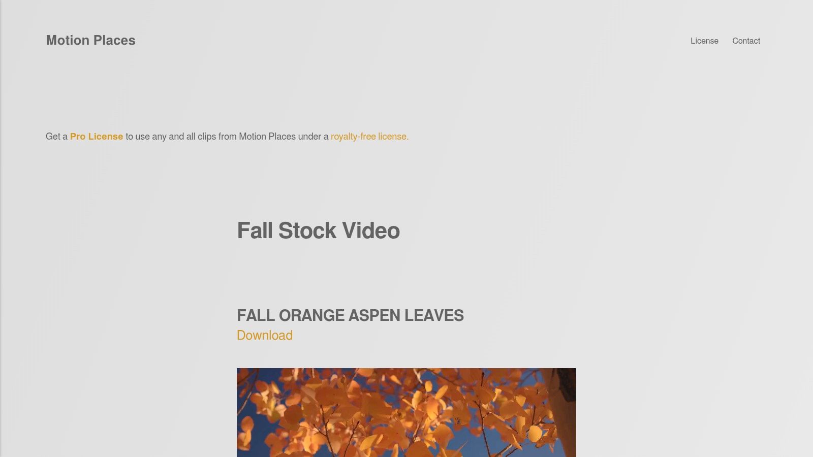 Motion Places – Fall Collection