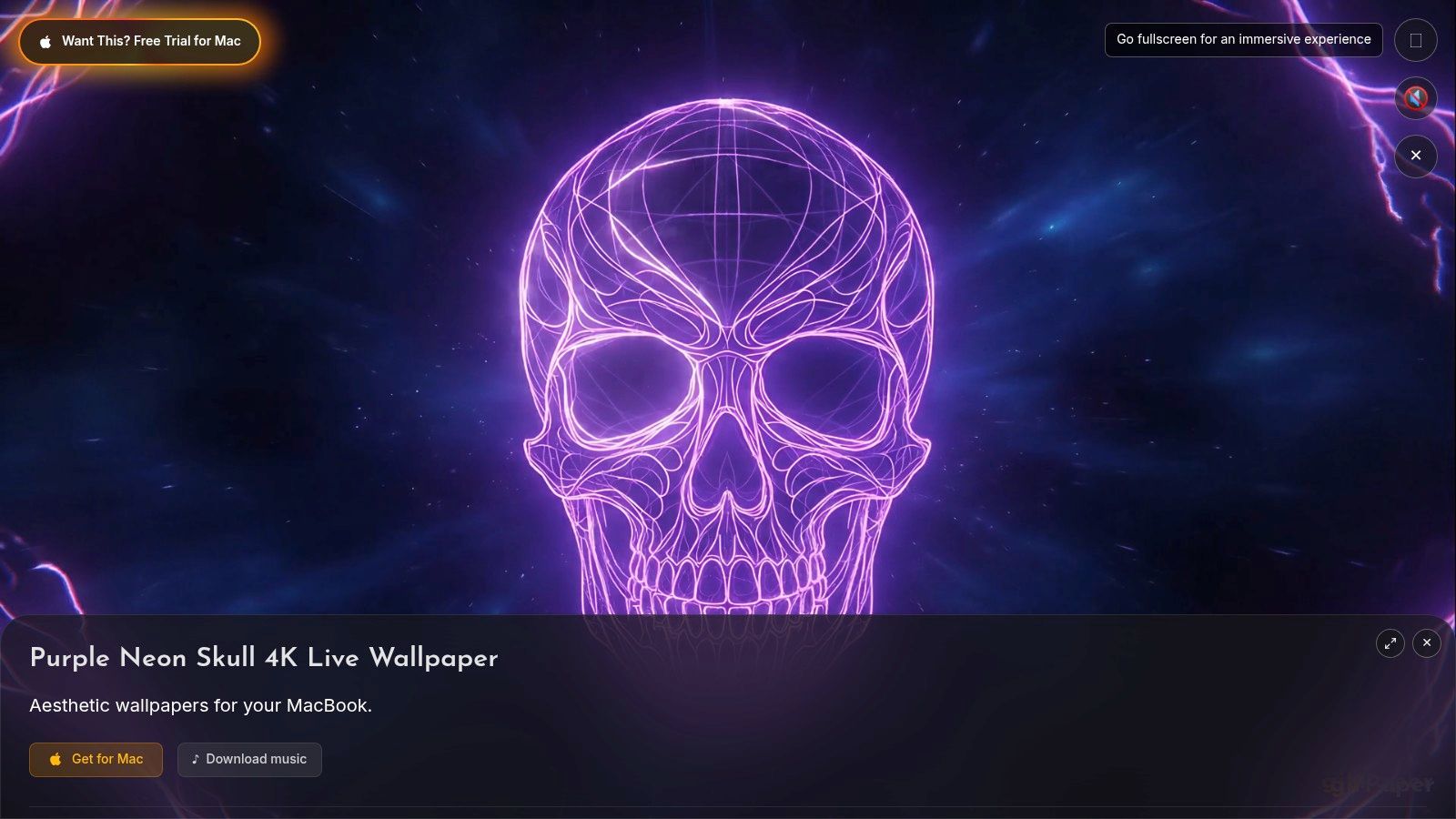 Purple Neon Skull | Aesthetic 4K Live Wallpaper