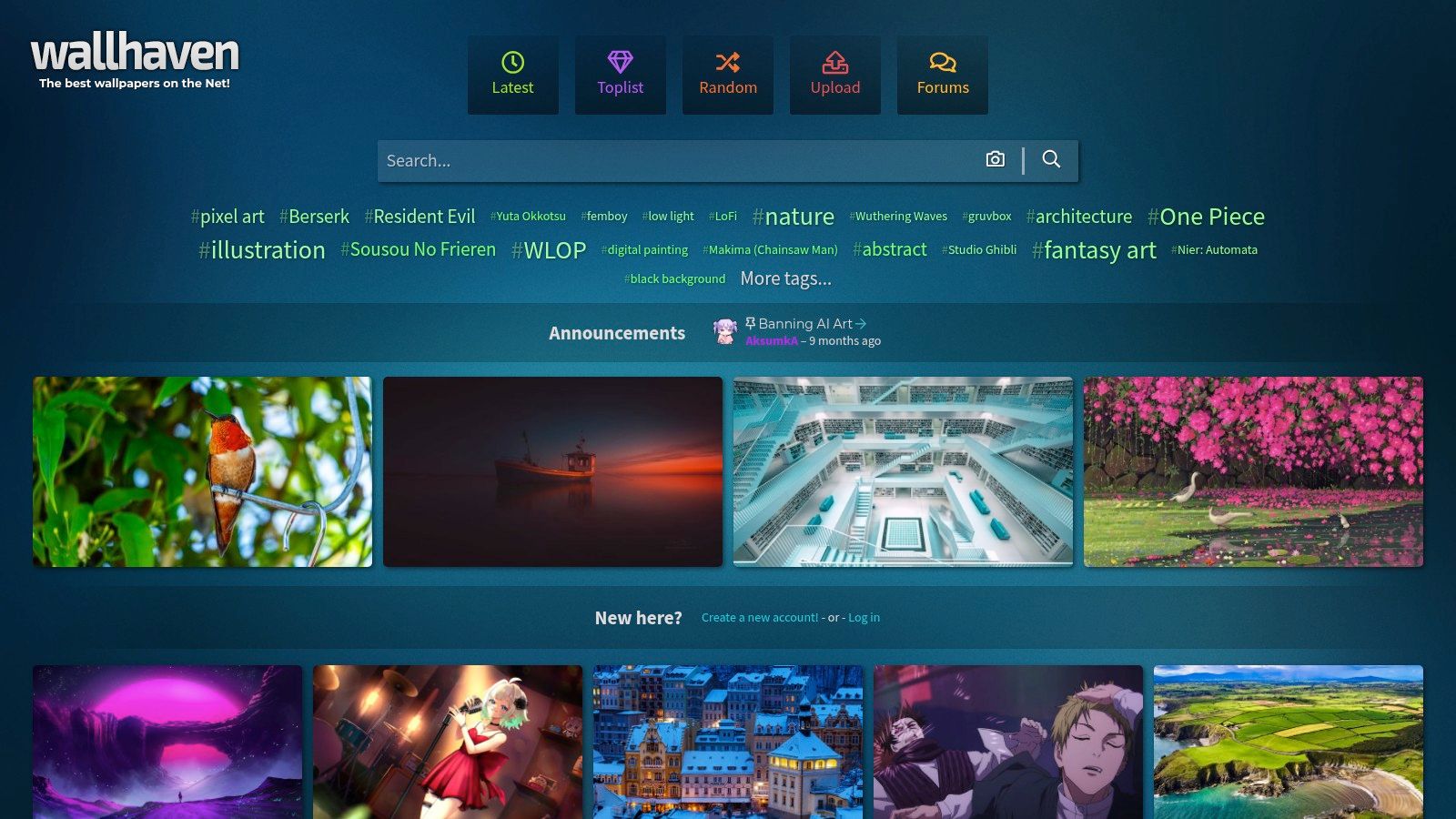 Wallhaven website interface showing filtering options