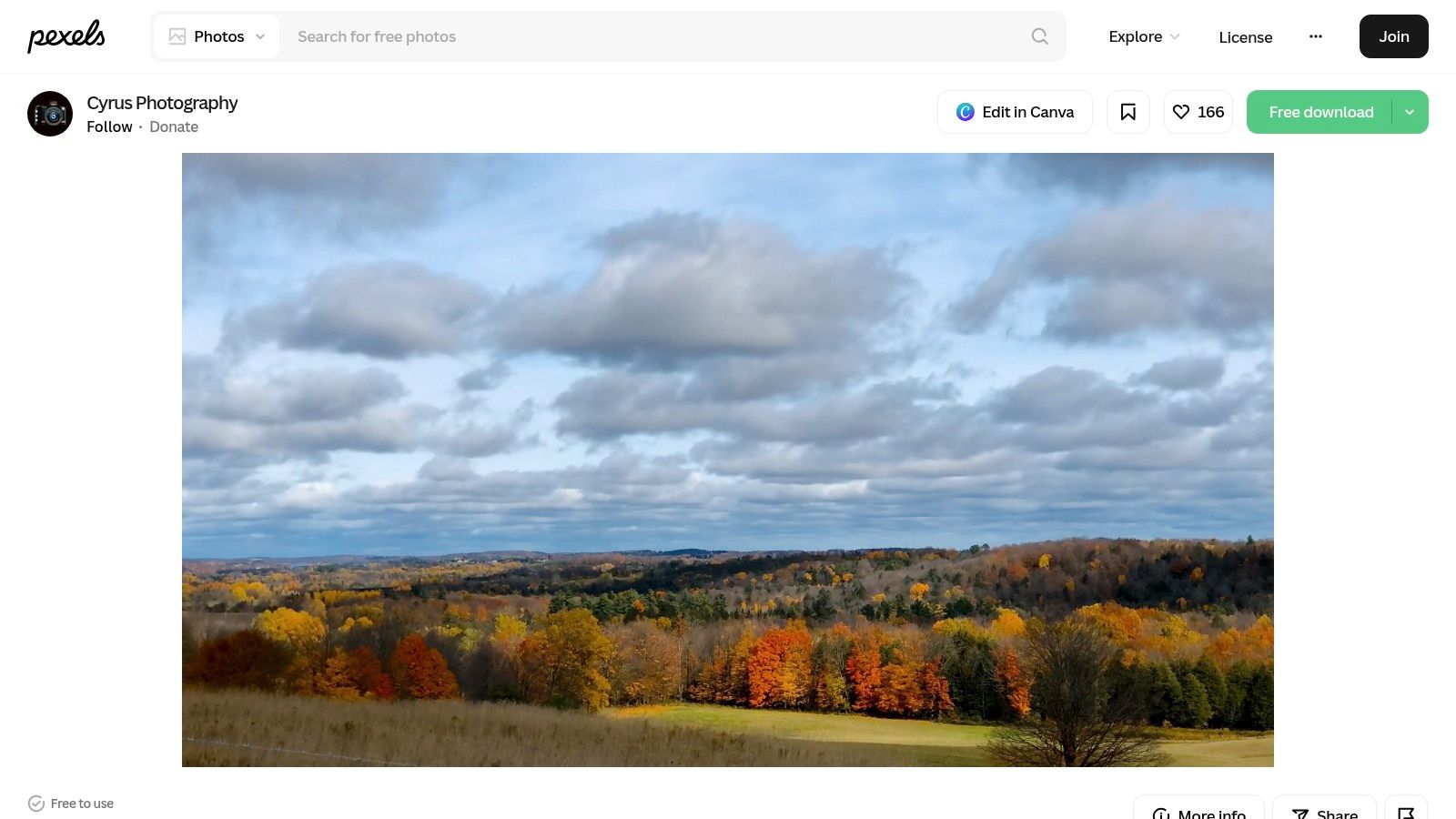 Pexels – Autumn Video Clips