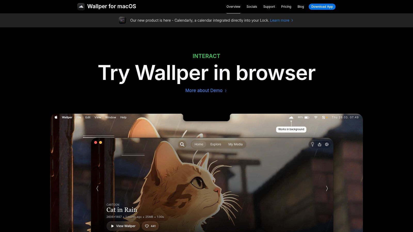 Wallper