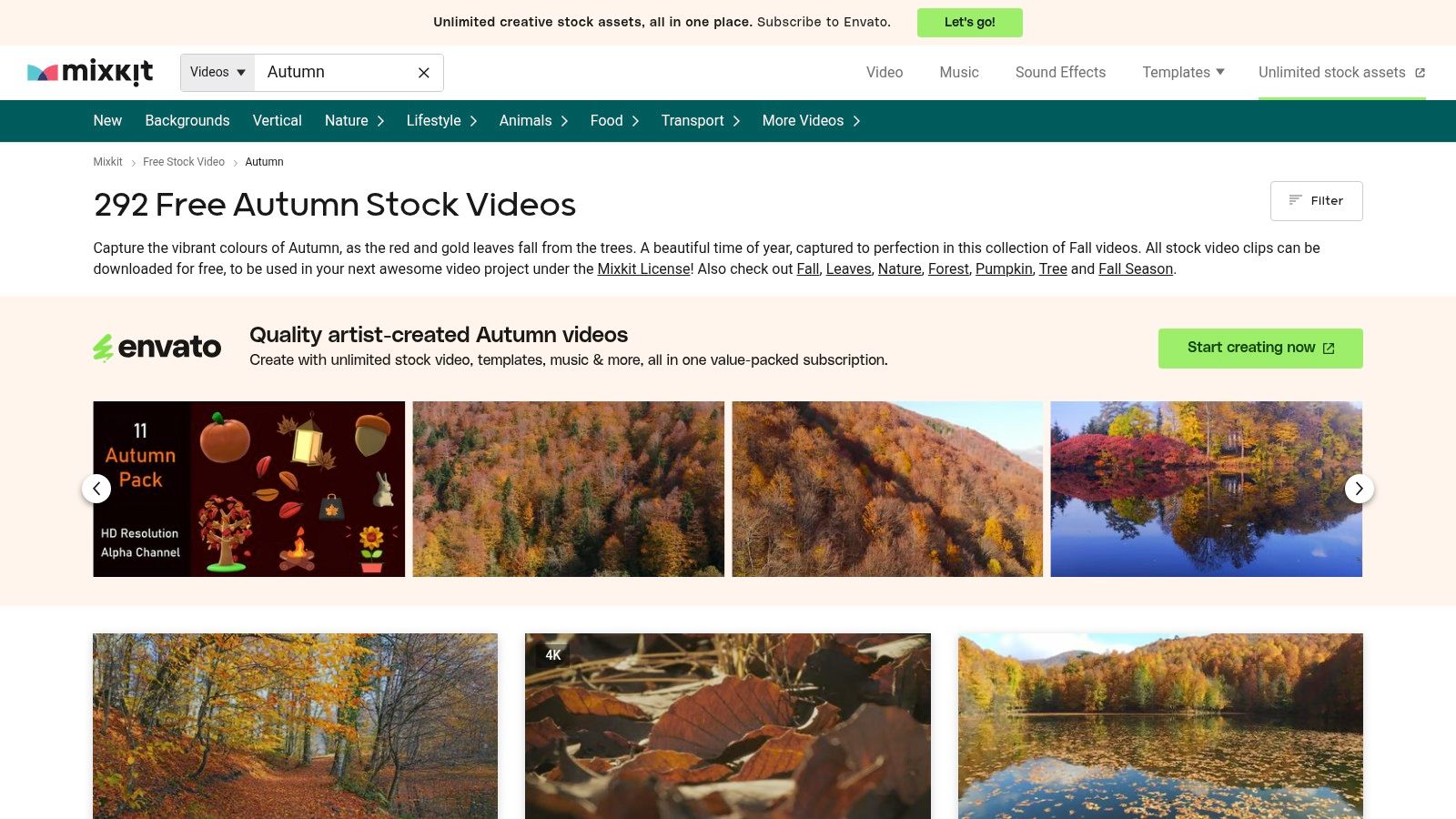 Mixkit – Free Autumn Stock Video