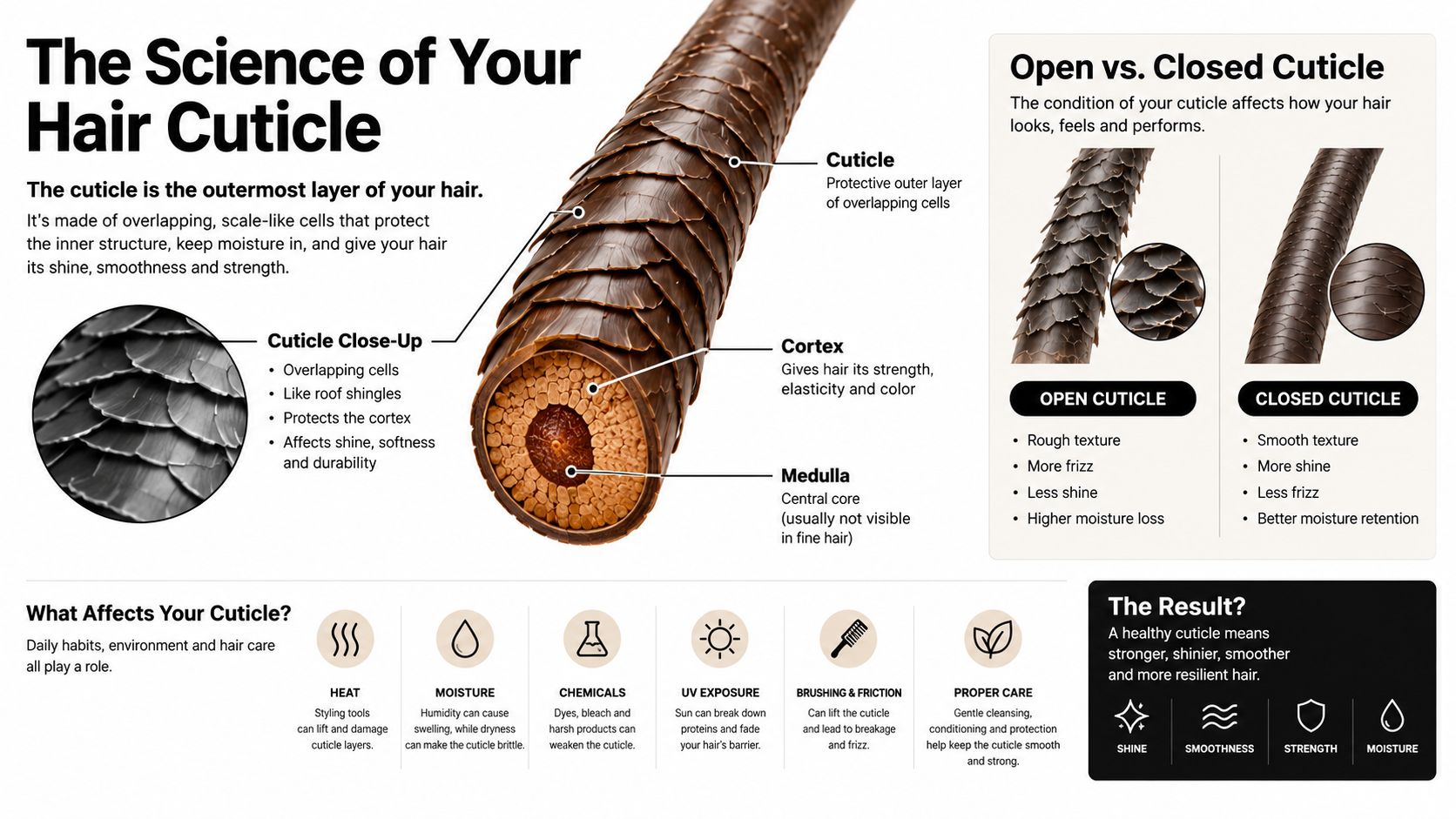 An educational infographic illustrating the anatomy of a hair strand and the effects of open versus closed cuticles.