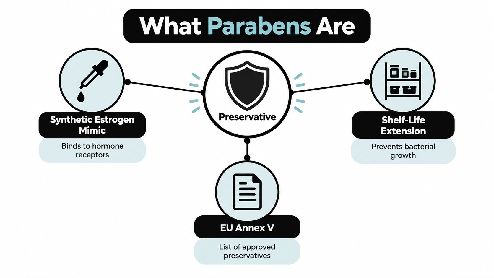 A diagram explaining that parabens act as synthetic estrogen mimics, shelf-life extenders, and are approved preservatives.