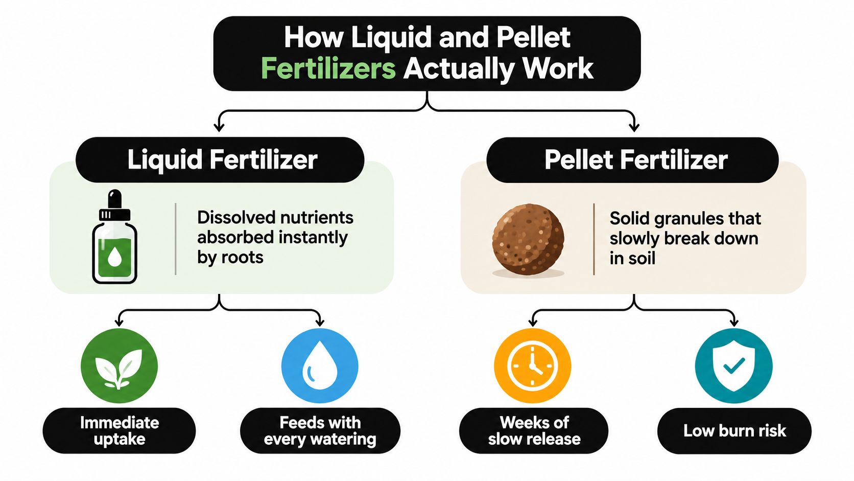 A comparison chart explaining the differences between liquid and pellet fertilizers for plant care and growth.