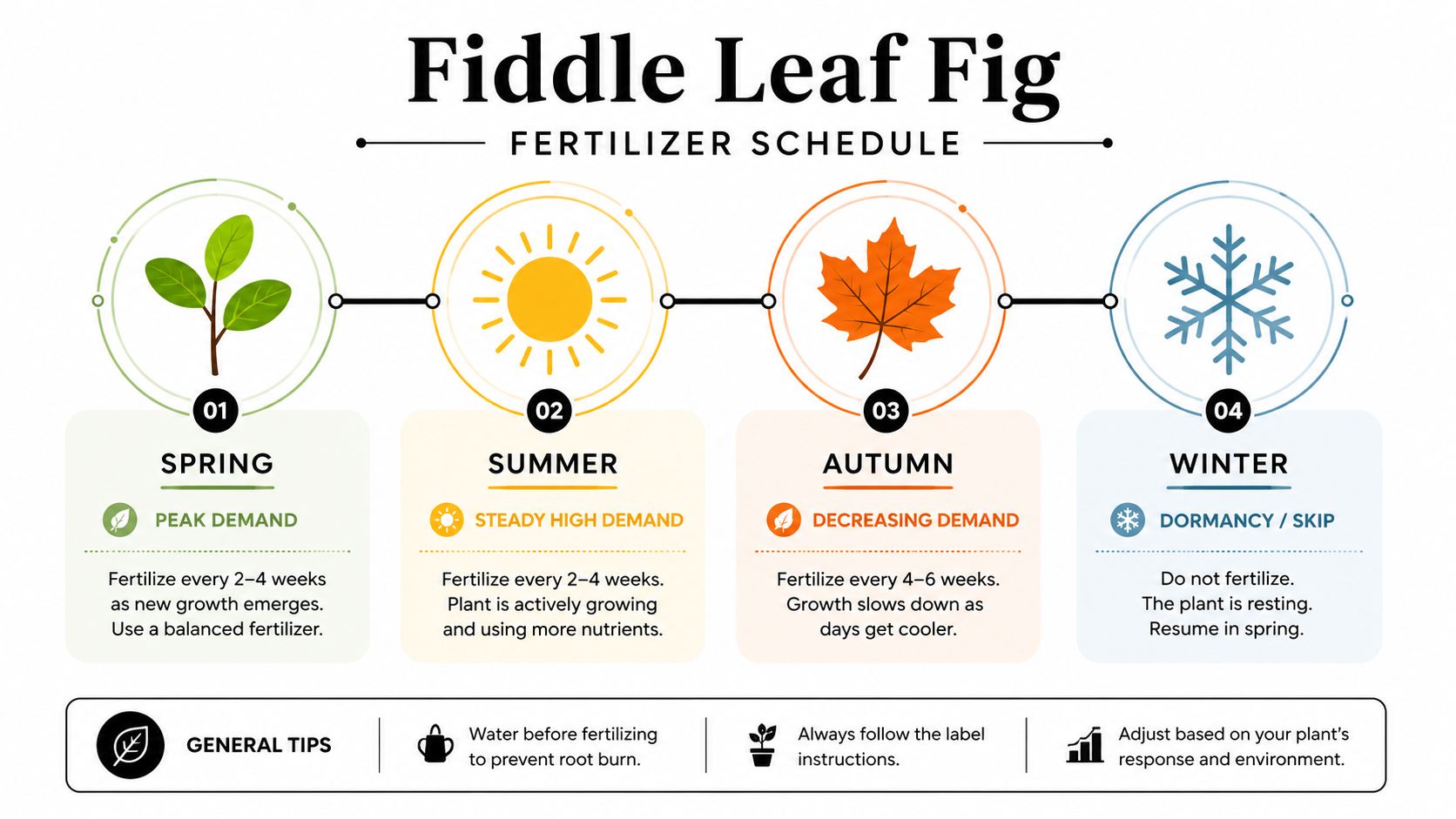 A graphic showing a Fiddle Leaf Fig fertilizer schedule divided by the four seasons of the year.