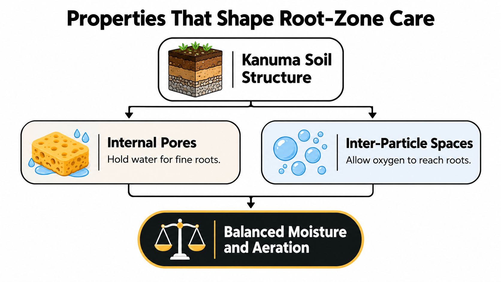 A diagram illustrating how Kanuma soil structure provides balanced moisture and aeration for bonsai root zones.