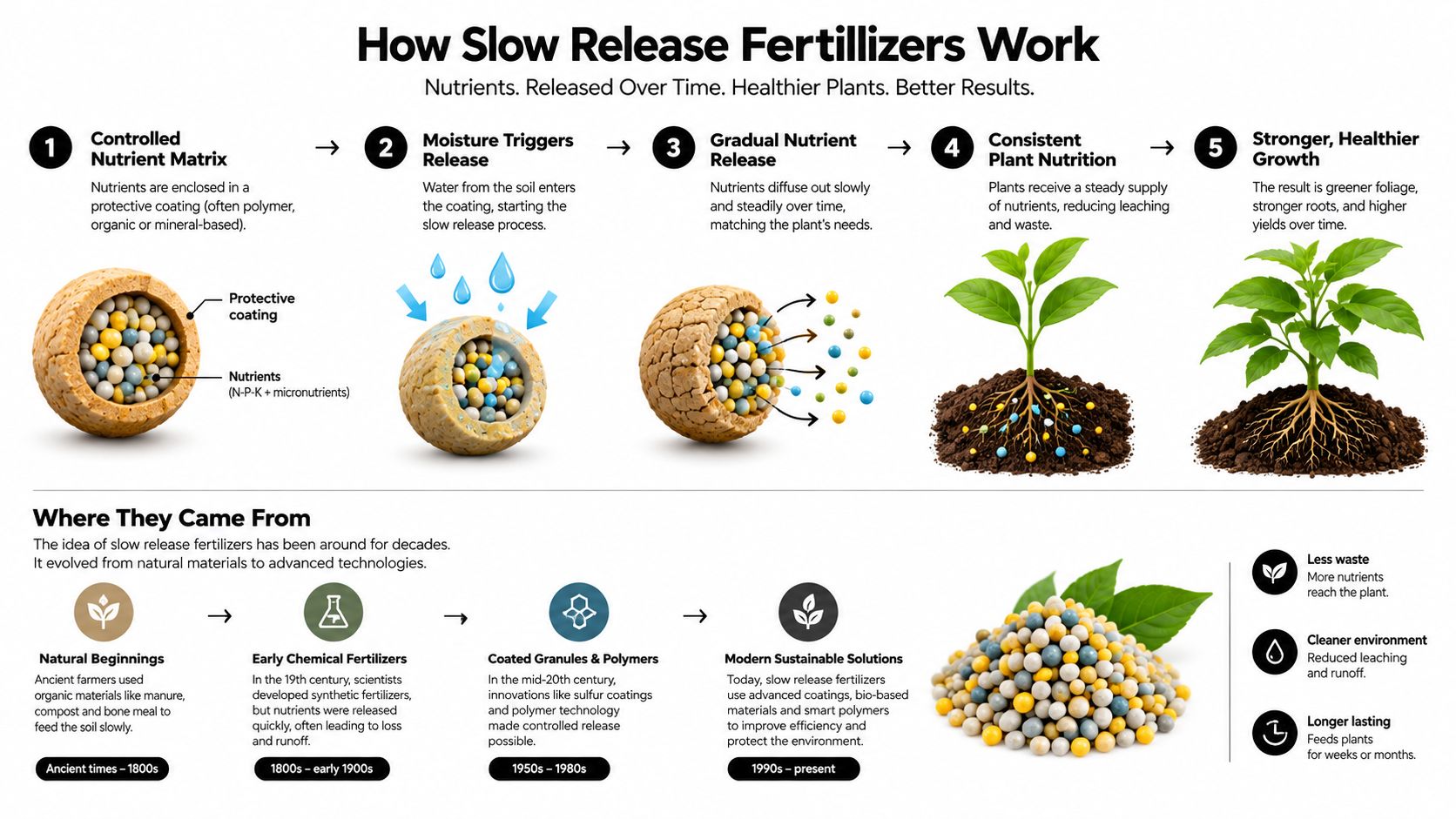 A detailed infographic explaining the mechanism, history, and environmental benefits of slow release fertilizers for plants.