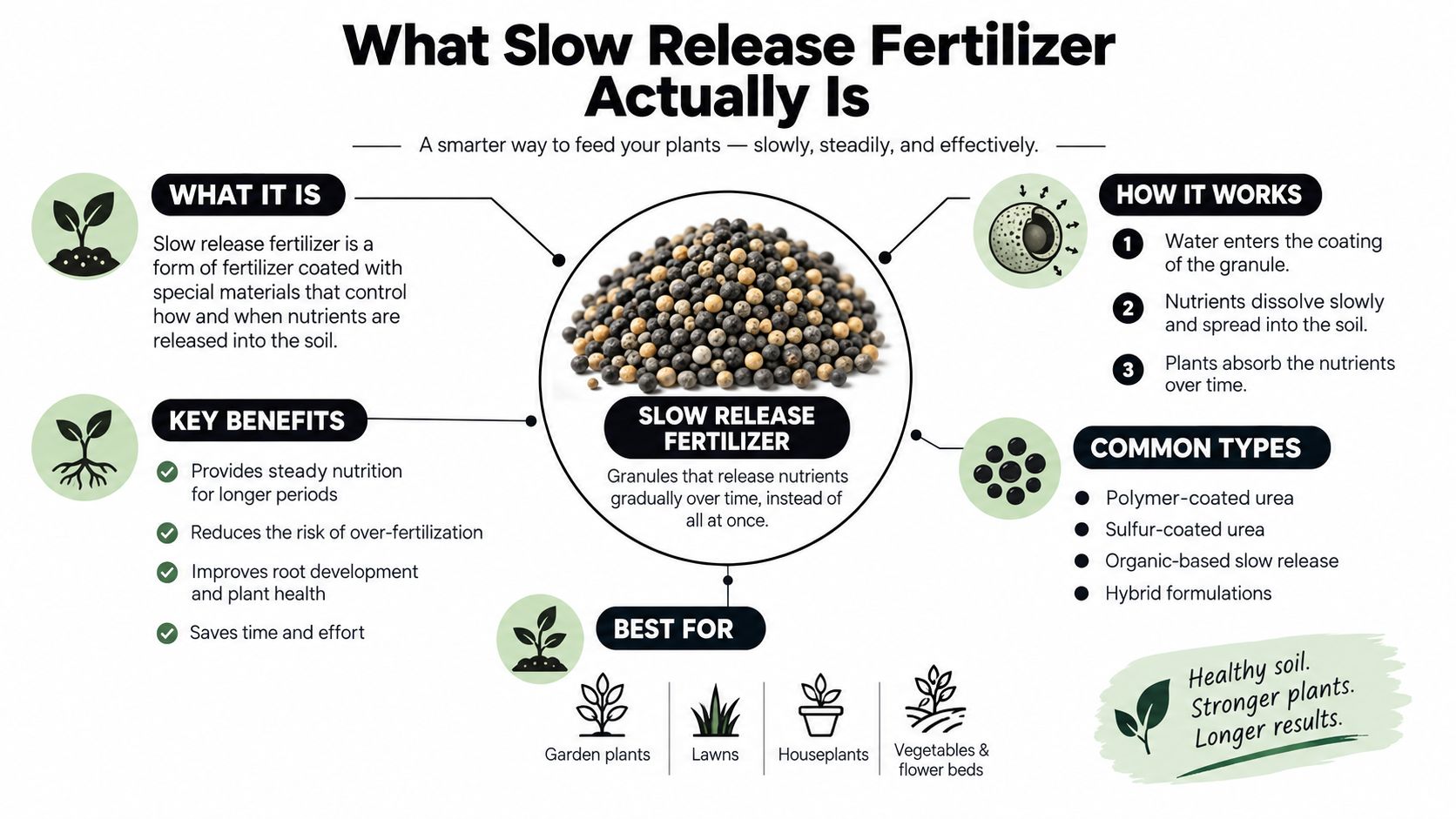 An infographic explaining slow release fertilizer, its benefits, how it works, common types, and best uses.