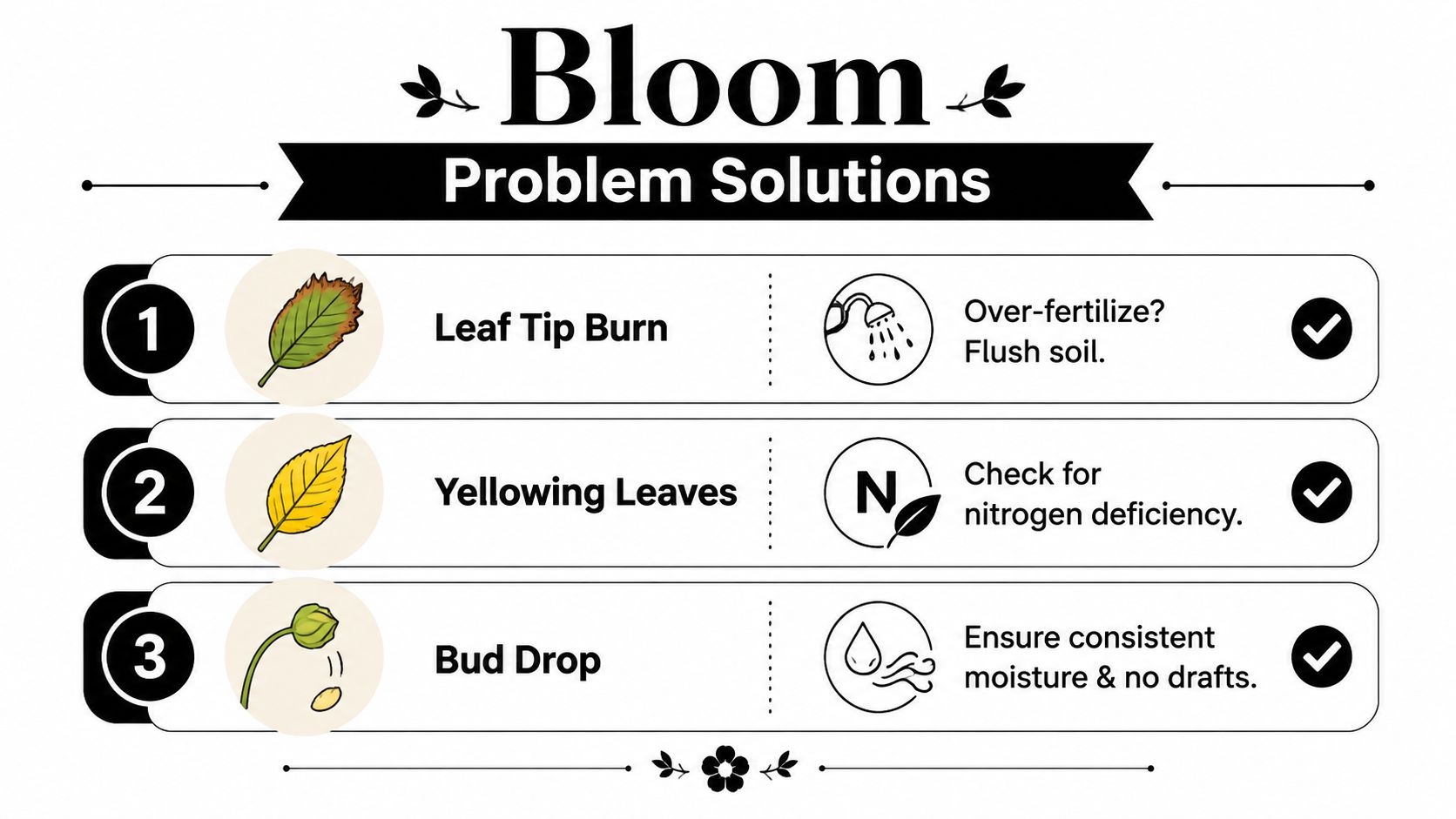 An infographic titled Bloom Problem Solutions displaying three common plant issues with their corresponding causes and remedies.