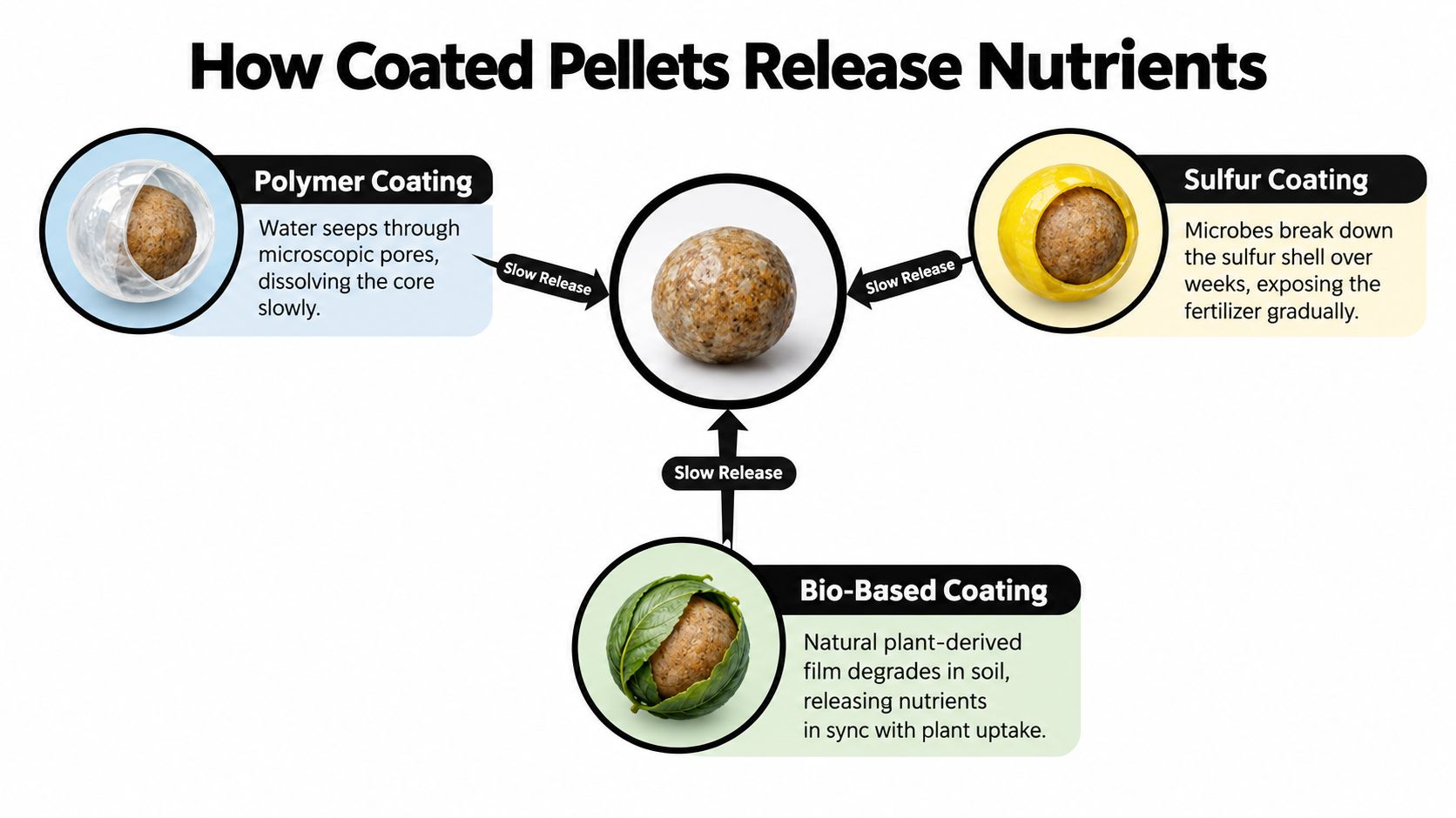 A diagram illustrating three types of fertilizer pellet coatings: polymer, sulfur, and bio-based, showcasing their release mechanisms.