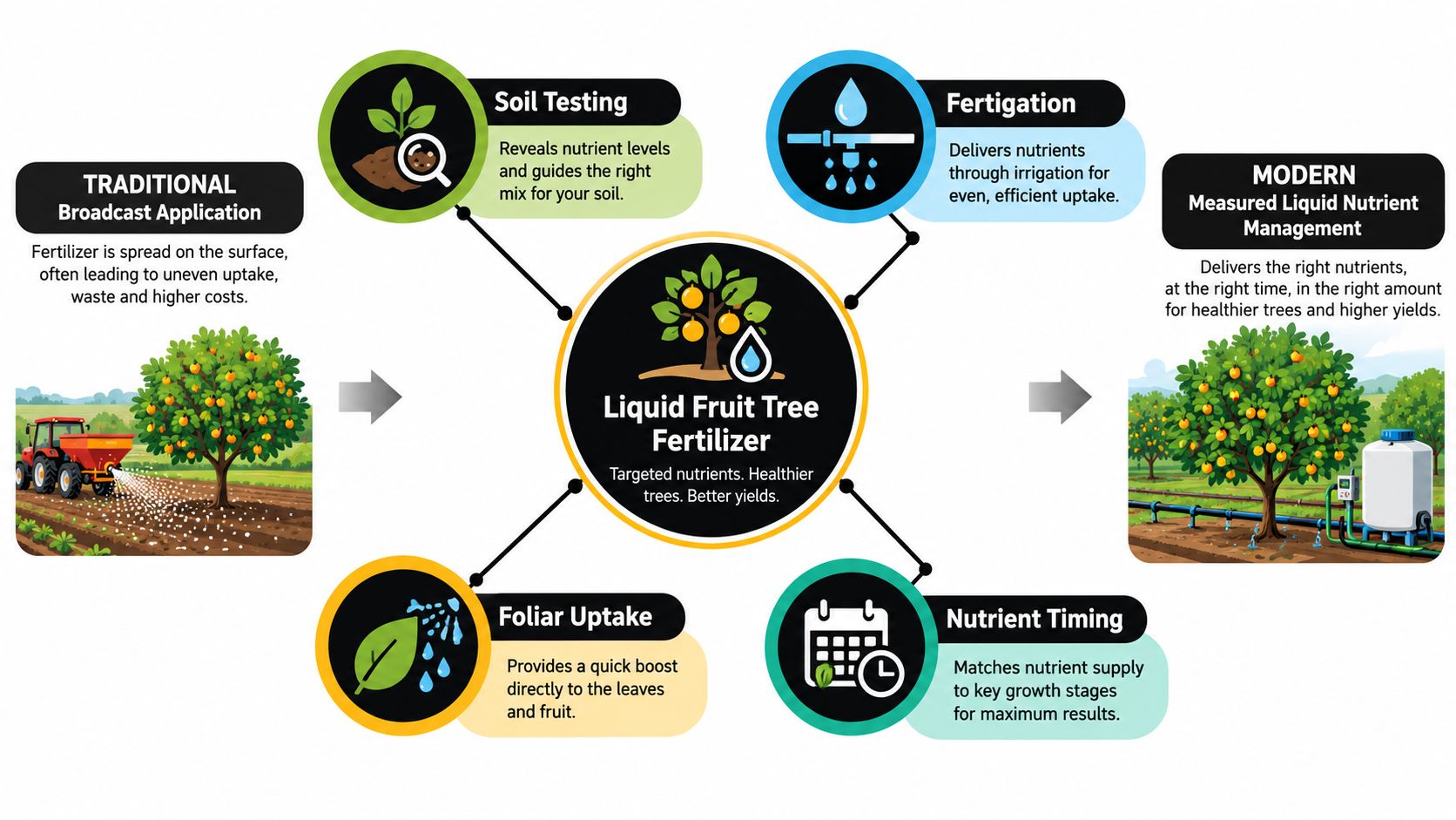 A comparative infographic showing the benefits of modern liquid fruit tree fertilizer over traditional broadcast application methods.