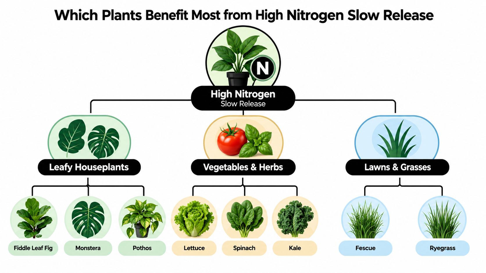 A diagram illustrating which plants like house plants, vegetables, and grasses benefit from high nitrogen fertilizer.