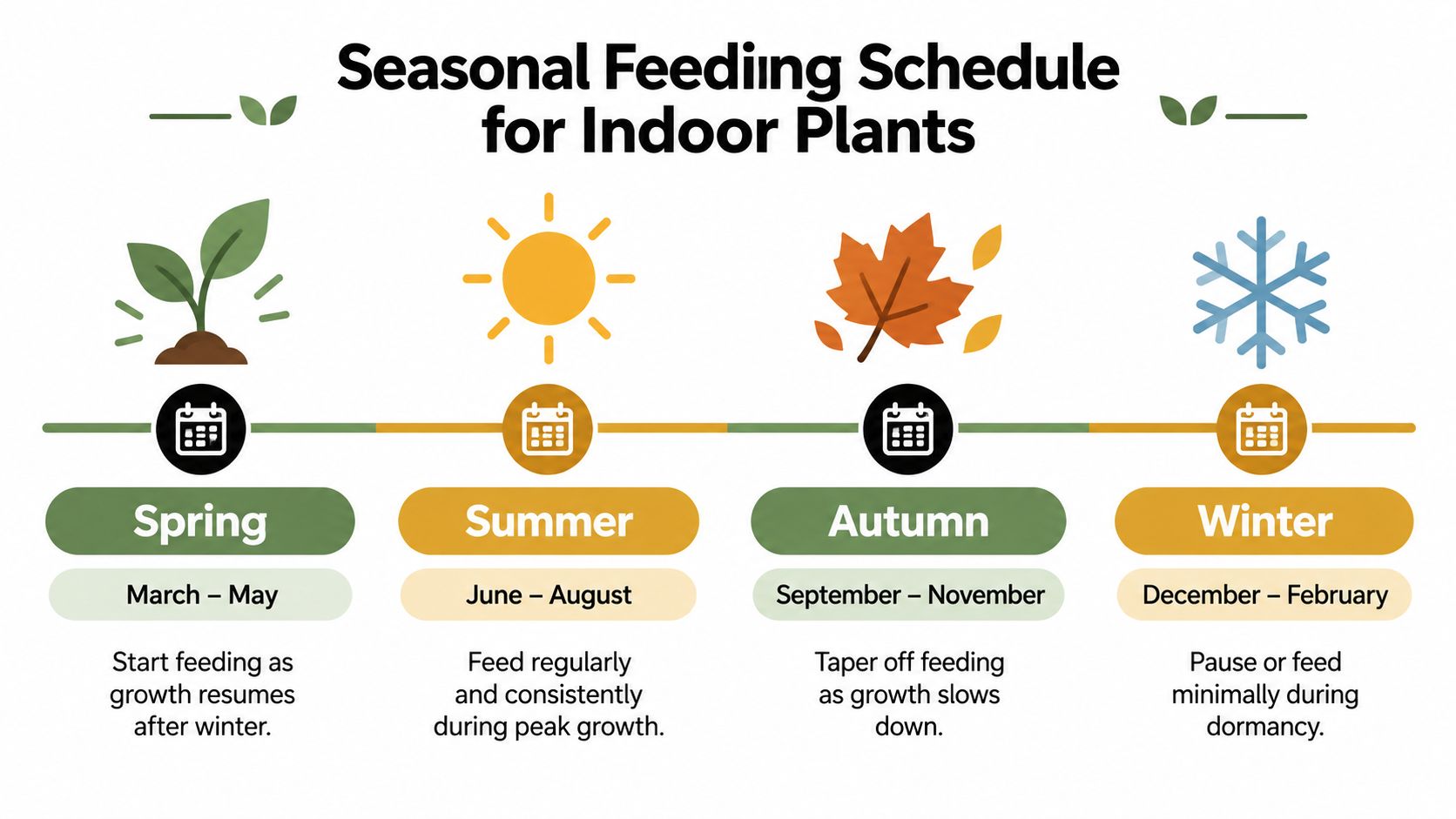 A seasonal infographic illustrating the recommended feeding schedule for indoor plants throughout spring, summer, autumn, and winter.