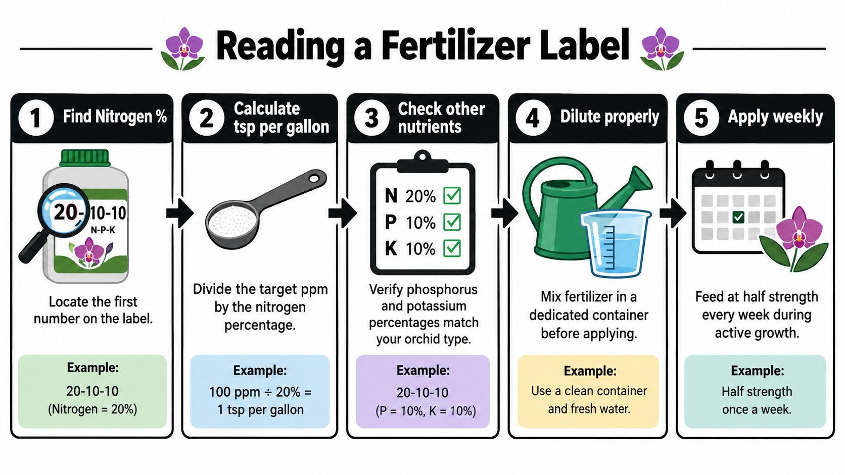 An infographic showing five steps for calculating and applying orchid fertilizer using the N-P-K label ratio.