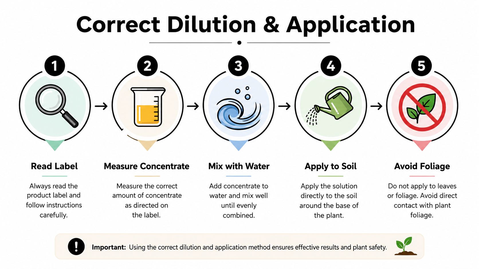 A step-by-step infographic illustrating the proper method for diluting and applying liquid plant food safely.
