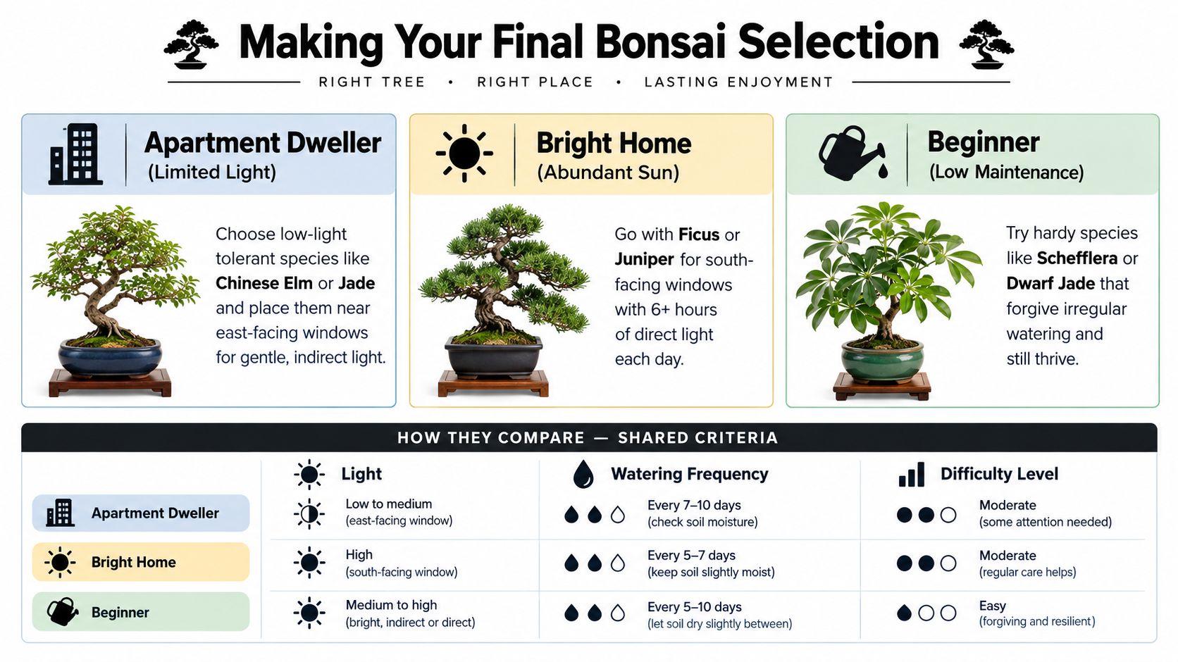 An infographic titled Making Your Final Bonsai Selection comparing three types of bonsai trees for different environments.