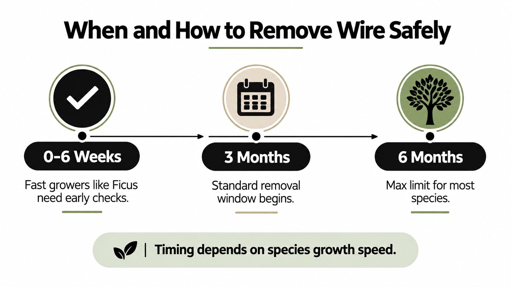 A timeline chart titled When and How to Remove Wire Safely, showing intervals of 0-6 weeks, 3 months, and 6 months.
